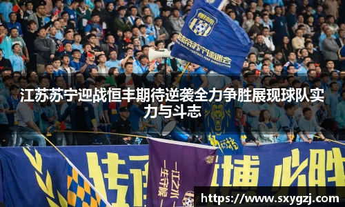 完美体育在线入口官网